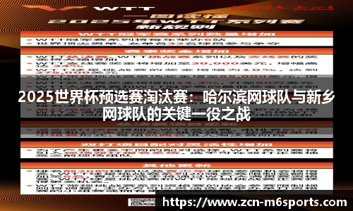 2025世界杯预选赛淘汰赛：哈尔滨网球队与新乡网球队的关键一役之战
